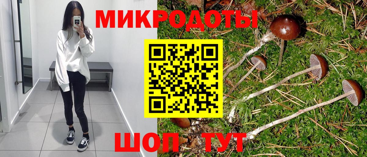 Псилоцибиновые грибы Psilocybe  Вход с VPN  Нефтеюганск 